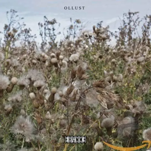 Produktbild: Broads & Milly Hirst - Ollust