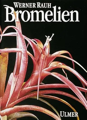 Produktbild: Bromelien: Tillandsien und andere kulturwürdige Bromelien