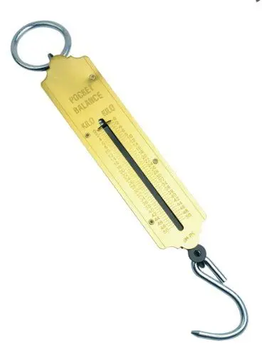 Produktbild: Brüder Mannesmann Taschenfederwaage, 150 kg | M 813-150