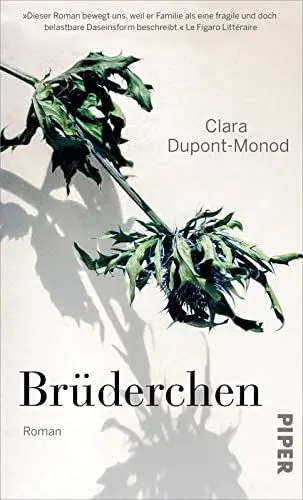 Produktbild: Brüderchen: Roman | »Eine zarte, zerbrechliche Familiengeschichte.« Christine Westermann