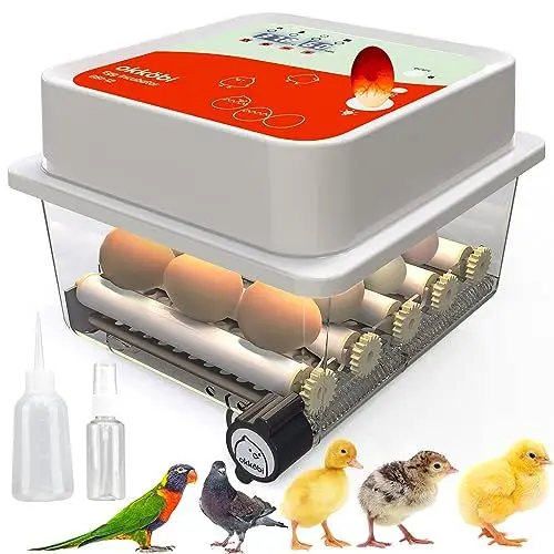 Produktbild: Okköbi OBI-12 Brutautomat für Hühner, Enten & andere Vögel + NEU 2024 + Brutautomat vollautomatisch + Temperaturkontrolle + Feuchtigkeitsanzeige + Integrierte Eierschale + 5 JAHRE SCHUTZ