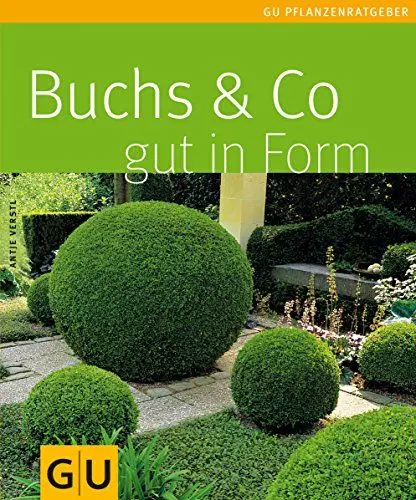 Produktbild: Buchs & Co. gut in Form