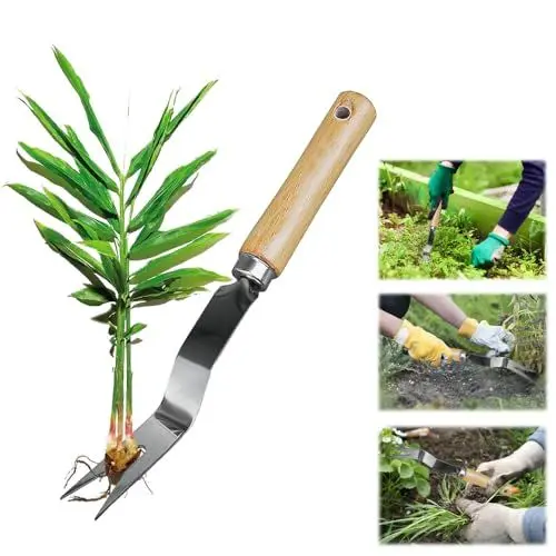 Produktbild: BUENTYA Unkrautstecher mit stiel Löwenzahnstecher Edelstahl Unkrautjäter mit Holzgriff Gartenkralle Hand Unkrautkralle Unkrautzieher Distelstecher Garten Manueller Weeder Wurzelentferner für Garten