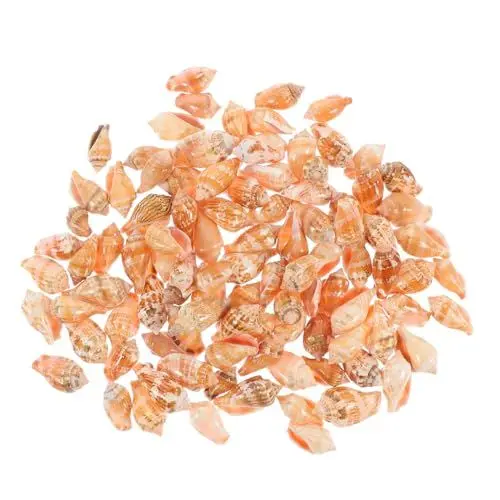 Produktbild: BUGUUYO 100 Stücke Conch Shell Ornamente Natürliche Aquatische Für Home Aquarium Desktop Handwerk