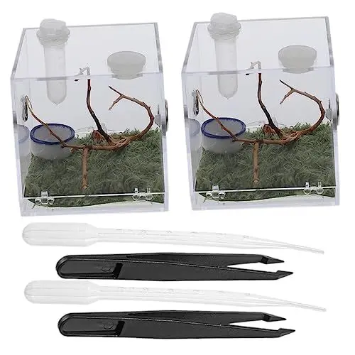 Produktbild: BUGUUYO 2 Sätze Spinnen-Terrarium Insektenschutzbecken Kühlerfigur Auto Tier Insektenlebensraum Fall Springspinnenfall Glas Schnecken springende Spinne Container Acryl