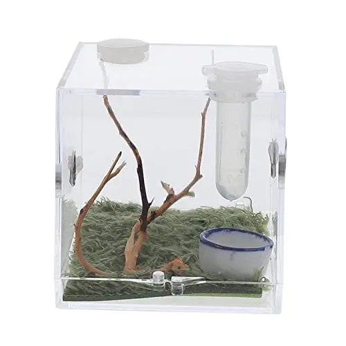 Produktbild: BUGUUYO 2 Sätze Springspinnen-Zuchtbox Tierpfleger Spinnen-Terrarium Schlange Terrarium Stabheuschrecke Frosch-Panzer insektenhäuser Mini Terrarium Spinnengehege Zubehör Zuchtträger Acryl