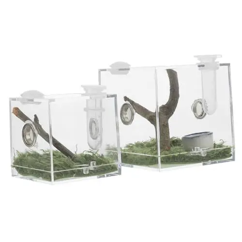 Produktbild: BUGUUYO 2stücke Acryl Zuchtbox Für Springspinnen Transparente Futterbox Für Insektenhabitat Leicht Und Kompakt Für Haltung Von Springspinnen Und Anderen Kleintieren