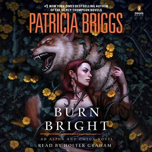 Produktbild: Burn Bright