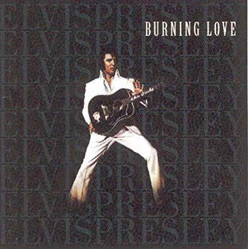 Produktbild: Burning Love