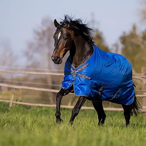 Produktbild: Outdoordecke WINDCHILL 100
