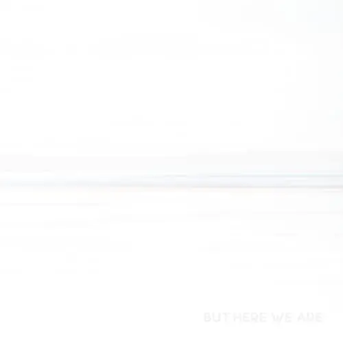 Produktbild: BUT HERE WE ARE (Vinyl LP)