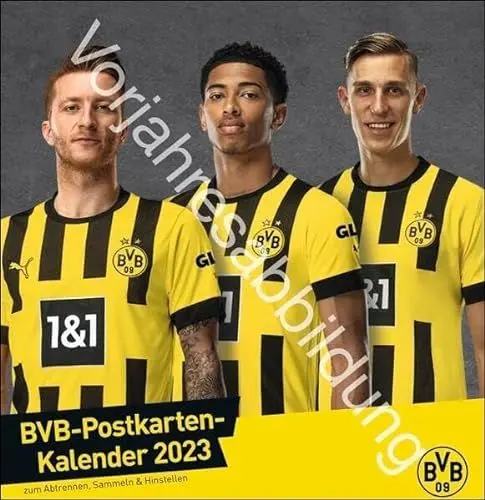 Produktbild: BVB Postkartenkalender 2024. Kleiner Kalender für große Fans: Die Stars von Borussia Dortmund in einem Tischkalender zum Aufstellen oder Aufhängen. Jeden Monat eine Spieler-Postkarte.