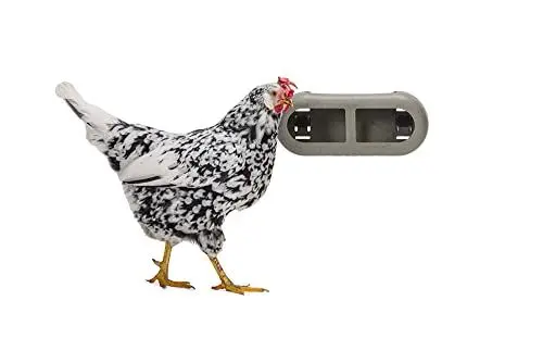 Produktbild: Beeztees Feeder, Hühnerzubehör, Futterspender für Hühner, 30x14x13 cm grau