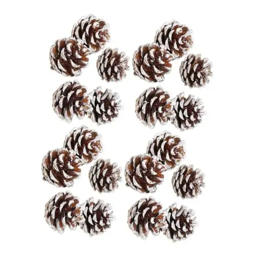 Produktbild: Cabilock 30st Dekoration Schwarzkiefern Zapfen Weiße Verzierung Trocken Tannenzapfen Vitrine Ornament Natürliche Tannenzapfen Große Tannenzapfen Winterdeko Kleiner Baum Anhänger