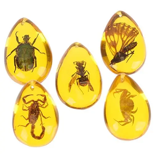 Produktbild: Cabilock 5stücke Harz Bernstein Anhänger Für DIY Bastelarbeiten Insekten Erkennungshilfe Dekorative Harzproben Zum Selbermachen Halskette Armband Zubehör