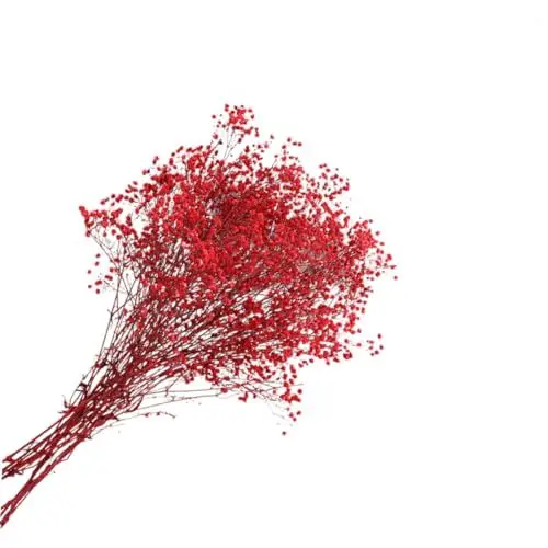 Produktbild: Cabilock Getrocknete Baby Breath Blumen Großpackung Gypsophila Konservierte Romantische Rot Blumenstrauß