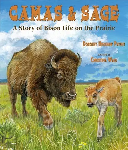 Produktbild: Camas & Sage: A Story of Bison Life on the Prairie