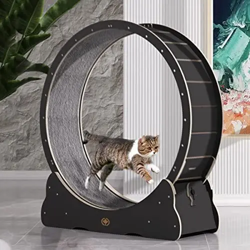 Produktbild: CanadianCat Company | Katzenlaufrad aus Holz - CatInMotion - Spiel- & Trainingsgerät für Katzen | Bausatz Schwarz - XL Ø 120 cm | 132 x 37 x 141,5 cm