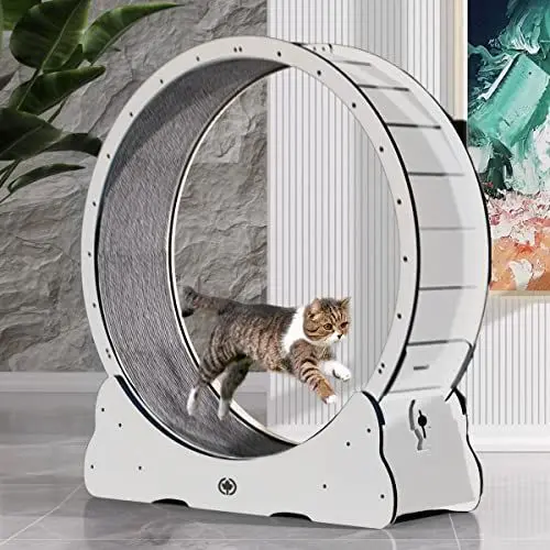 Produktbild: CanadianCat Company | Katzenlaufrad aus Holz - CatInMotion - Spiel- & Trainingsgerät für Katzen | Bausatz Weiß - XL Ø 120 cm | 132 x 37 x 141,5 cm