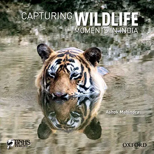 Produktbild: Capturing Wildlife Moments in India
