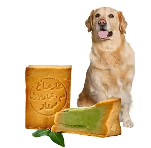 Produktbild: Carenesse natürliche Hundeseife mit Olivenöl 1x180g I vegane Fellseife I Tiershampoo für jeden Felltyp I Reinigung & Fellpflege für Haustiere I festes Hunde,- und Katzen-Shampoo ohne Chemie & Plastik