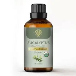 Produktbild: Carno Calm Eukalyptusöl für Diffusor | 100% reines und natürliches ätherisches Eukalyptusöl | für Aromatherapiebad, Luftbefeuchter, Haar | 30 ml