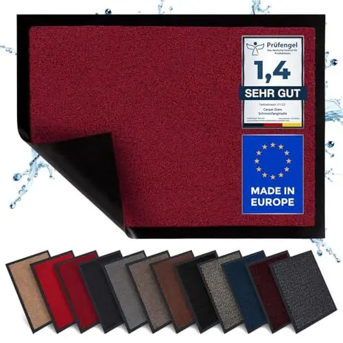Produktbild: Carpet Diem Fußmatte, einfach sauber I Schmutzfangmatte Eingangsbereich - Fussmatte Innen & Außen, rutschfeste Türmatte, Schmutzfang Teppich für Haustür I Fußabtreter in Weinrot 40x60 cm