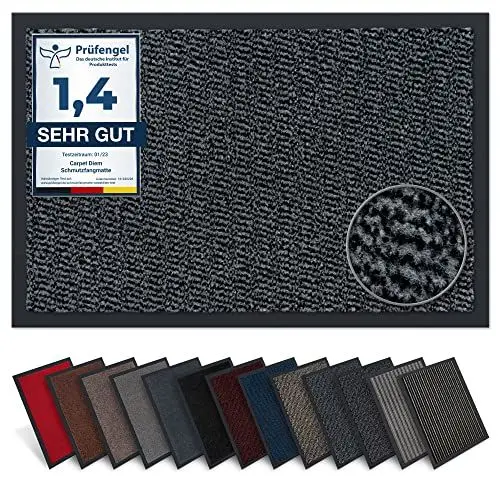 Produktbild: Carpet Diem Fußmatte, einfach sauber I Schmutzfangmatte Eingangsbereich - Fussmatte Innen & Außen, rutschfeste Türmatte, Schmutzfang Teppich für Haustür I Fußabtreter in Hellgrau-Schwarz 40x60 cm