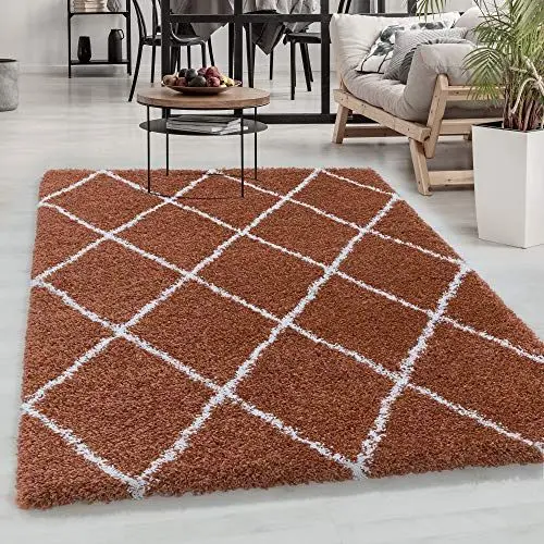 Produktbild: Carpetsale24 Hochflor Teppich Terrakotta 160x230 cm Rauten Design Flauschig-Weich Langflor Wohnzimmerteppich Skandinavischer Stil Shaggy Teppich