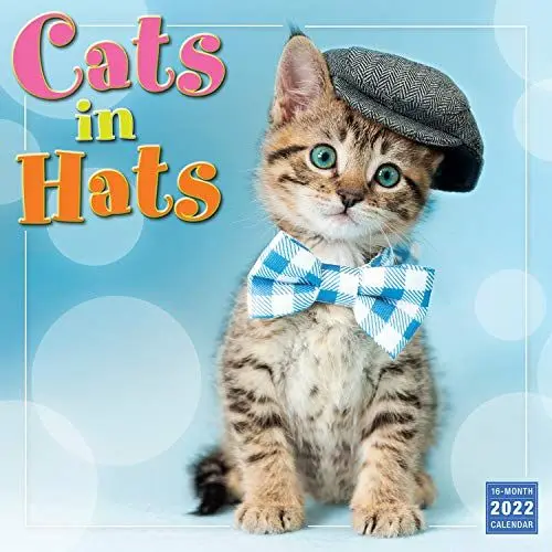 Produktbild: Cats in Hats 2022 Calendar