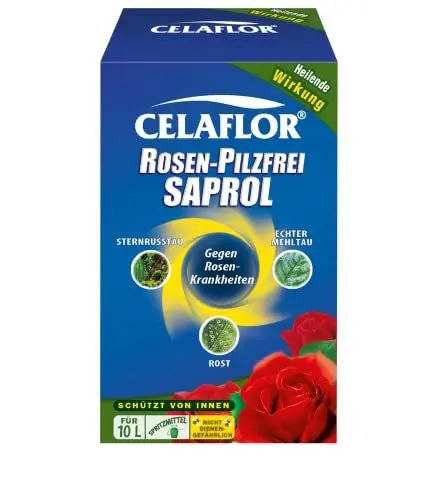 Produktbild: Celaflor Rosen-Pilzfrei Saprol, gegen Pilzkrankheiten an Rosen, wie Echten Mehltau, Sternrußtau und Rost, 100 ml