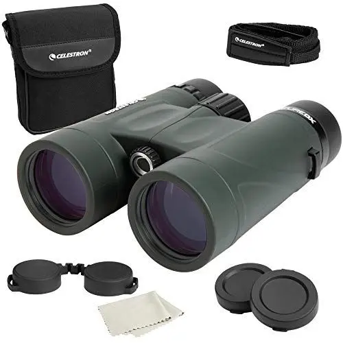 Produktbild: Celestron 71332 Nature DX 8x42mm Binoculars with Multi-Coated Lens, BaK-4 Prism Glass and Carry Case, Green