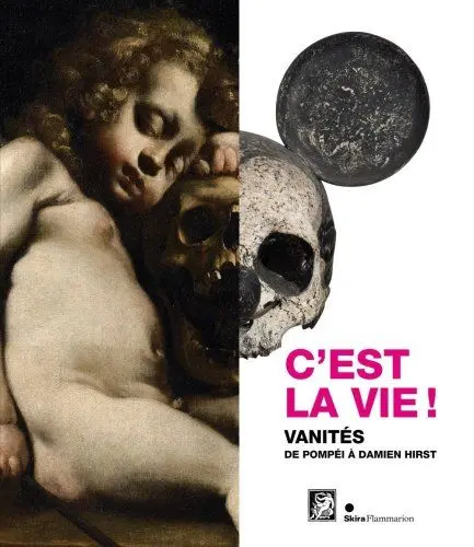Produktbild: C'EST LA VIE ! VANITES DE POMPEI A DAMIEN HIRST: Vanités de Pompéï à Damien Hirst