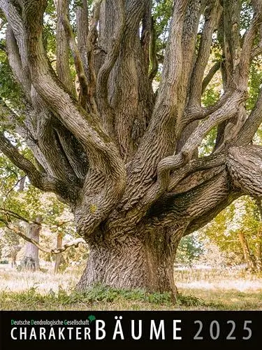 Produktbild: Charakter-Bäume 2025: Wandkalender