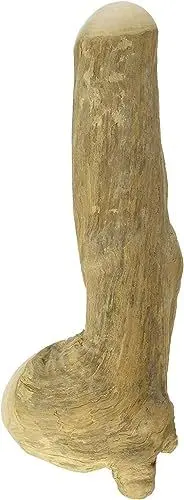 Produktbild: Chewies Kaustab für Hunde - Kauknochen aus Kaffeeholz - splitterfrei und langlebig - natürliches Kauspielzeug - Größe L: Für Hunde ab 20 kg Körpergewicht