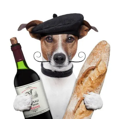 Produktbild: CHICO - DER FRANZOSE Lustige Einladungskarte zum Essen oder zur Weinverkostung·· witziger Hund lädt ein zum Dinner mit Wein und Baguette