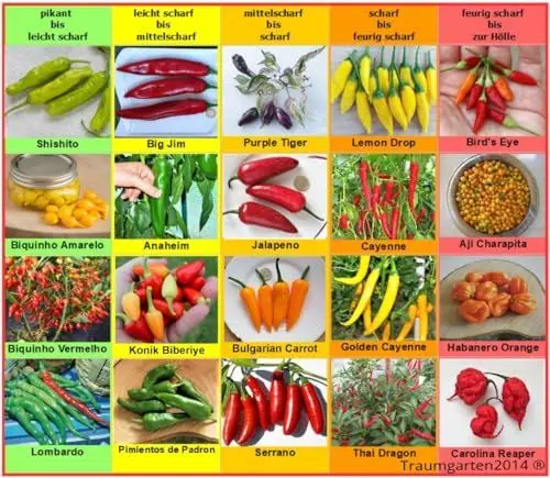 Produktbild: Chili Set 20 Sorten Samen Saatgut einzelnd verpackt von pikant bis extrem scharf aus aller Welt Peperoni