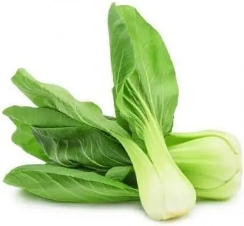 Produktbild: Choy Gemüsesamen 60 Stück Grün