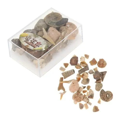 Produktbild: Ciieeo 1 Box Erzproben Gesteinsvitrine Sammelsteine Edelsteine ​​Und Kristalle Mineralien Erzsteine Natursteine Gesteinssammlung Tostones Probensteine Hybrid