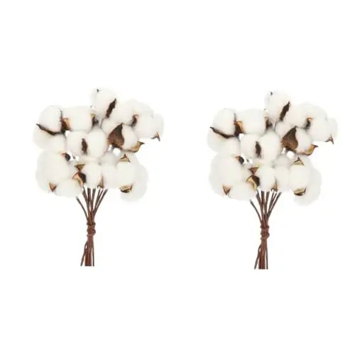 Produktbild: Ciieeo Vase Mit Baumwollstrauß 2 Sätze Strauß Baumwolle Trocken Trockenblüten Trockenblumen Blumenstrauß Aus Baumwolle Plektren Für Baumwollzweige Blumenarrangement Weißer Baumwollzweig Eisendraht