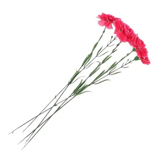 Produktbild: Ciieeo Künstliche Nelkenstiele Nelkenstiele Dekorationen Für Muttertagsblumen Blumenarrangement