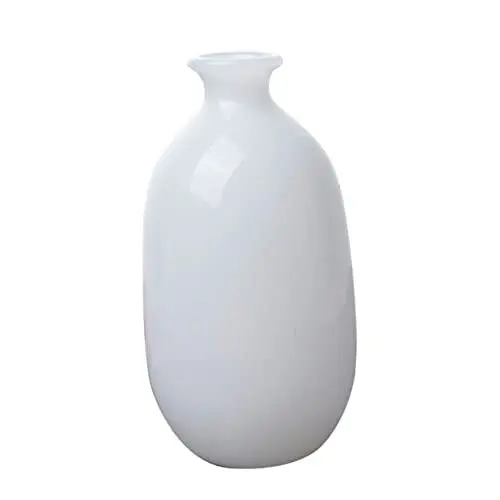 Produktbild: Ciieeo Hochwertige Vase Aus Borosilikatglas Perfekt Für Die Präsentation Von Wasserpflanzen