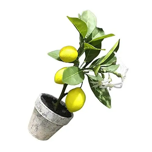 Produktbild: Ciieeo künstliche Topfpflanze kunstpflanze kunstplflanze Zitronenbaum künstlich eingemachter Zitronenbaum Tischplatte imitierter Zitronenbaum Künstlicher Zitronenbaum-Bonsai Zellstoff