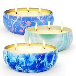 Produktbild: Citronella Kerze Outdoor, 3 Stücke 3 Dochte Kerzen mit citronella öl natürliche Sojawachs, 3x9 OZ Brennzeit 150 Std, Outdoor Kerze für Garten Picknick Terrasse Party Grill Indoor Outdoor Camping
