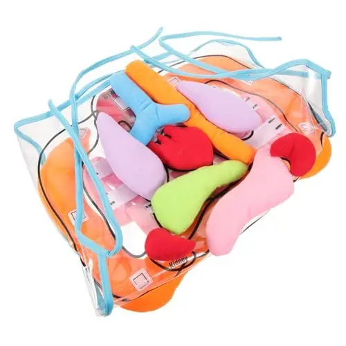 Produktbild: CIYODO 1 Satz Orgelschürze Anatomie Stethoskope kognitives Spielzeug Plüsch Kinderschürzen sportgel The pe Lehrmittel für die Kindheit 3D Organe Schürze des menschlichen Körpers Polyester