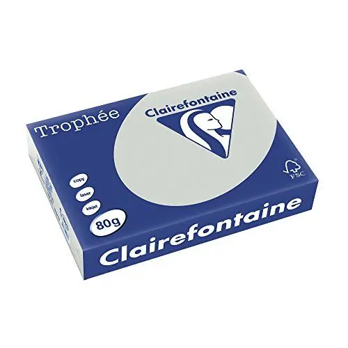 Produktbild: Clairefontaine 1993C - Ries Druckerpapier / Kopierpapier Trophee, Pastell Farben, DIN A4, 80g, 500 Blatt, Stahlgrau, 1 Ries