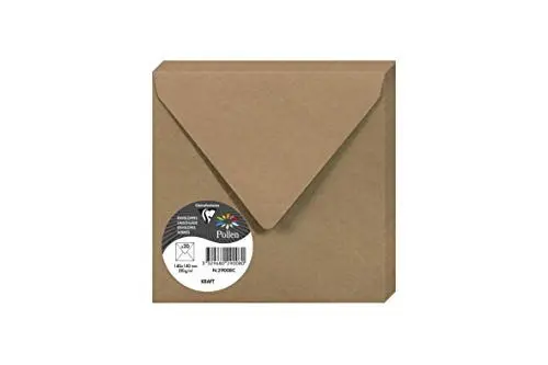 Produktbild: Clairefontaine 29008C Packung mit 20 Umschläge Pollen, 140 x 140mm, 135g, Kraft Natur