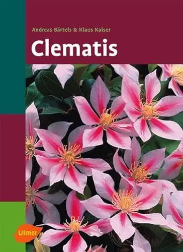 Produktbild: Clematis