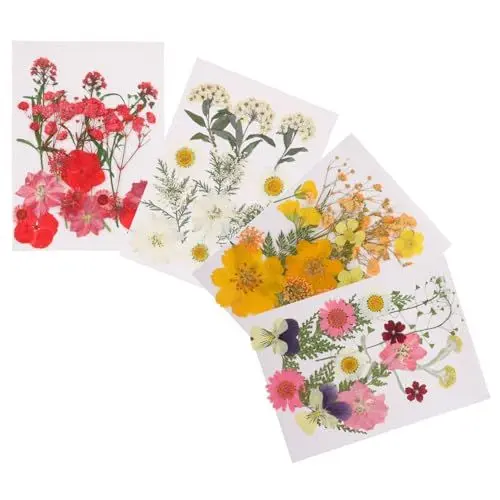 Produktbild: COHEALI 4 Bastelzubehör trockenblüten trockenblumen Dried Blossom Dry Flowers Konservierte frische Blumen aus getrockneten Blumen gepresste Blumen Bastelbedarf getrocknete Blumen
