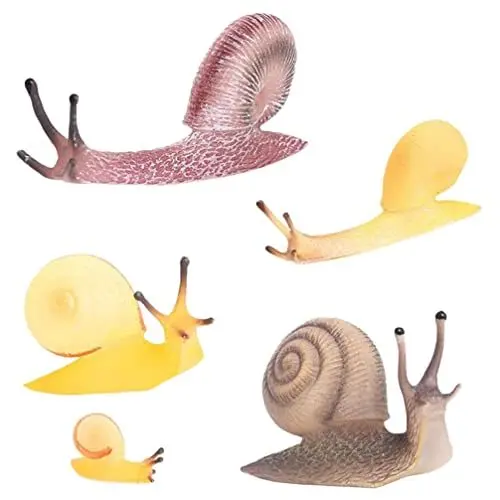 Produktbild: COHEALI Schleichtiere 5 Stücke Lebenszyklus Von Schnecke Tierfiguren Lebenszyklus Figuren Modell Schnecke Figur Figurinen Bildungsprojekt Diorama Modell Für Schnecken